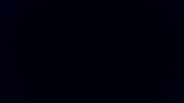 BunnyYT online show from 04-08-26, 05:58