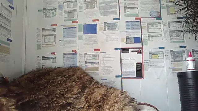 BunnyYT online show from 03-08-26, 04:21