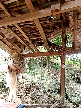 elen8800 online show from 04-14-26, 04:06