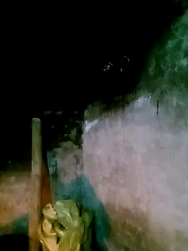 elen8800 online show from 02-28-26, 11:37