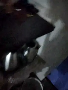 Snapshot of magicmovemen chatting on 03-03-26, 11:12 magicmovemen online show from 03-03-26, 11:12