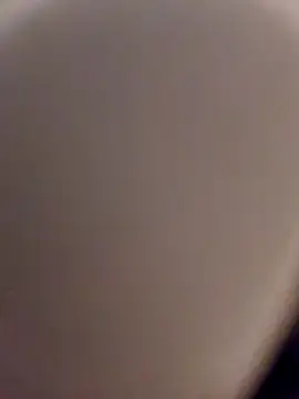 skynct2007 online show from 02-24-26, 05:41