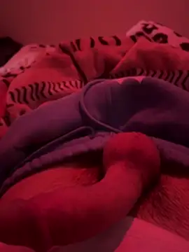 689Nika online show from 03-13-26, 07:57