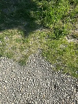 biakalifa69 online show from 05-24-26, 06:46