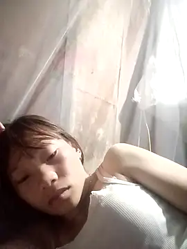 pic8800 online show from 03-31-26, 07:16