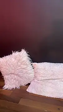   CELESTE   online show from 03-10-26, 07:56