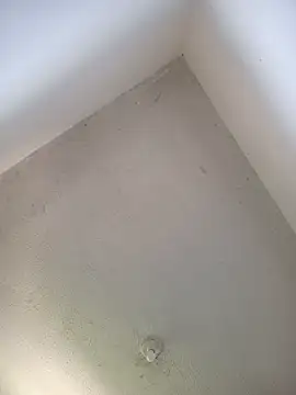 priscilaf online show from 04-19-26, 11:55