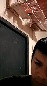 darwinmodell online show from 03-08-25, 03:56