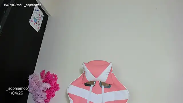 Sophiemoo  online show from 04-01-26, 01:34