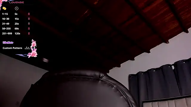 zafiro ziz online show from 04-11-26, 01:04