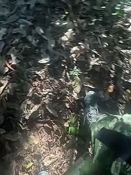 bibedro online show from 02-28-26, 09:14