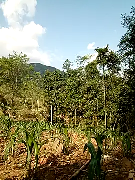 lyly sexx online show from 04-11-26, 01:02