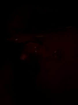 Snapshot of boythichlo99 chatting on 03-05-26, 05:20 boythichlo99 online show from 03-05-26, 05:20