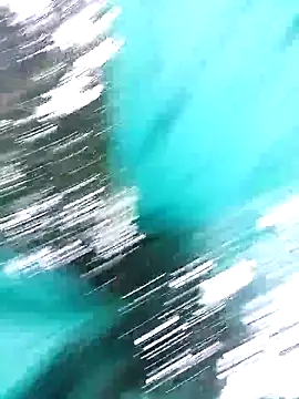 single kitten online show from 04-02-26, 12:12