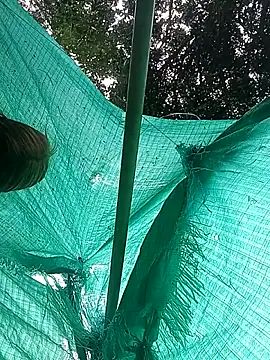 single kitten online show from 03-23-26, 07:47