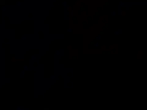 Nutty2in1 online show from 02-28-26, 06:57