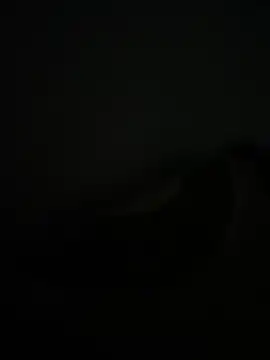 noorqwertz online show from 05-08-26, 04:55