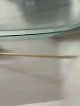 David-latinlover online show from 03-29-26, 10:44