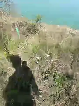 mariaplaya online show from 04-08-26, 09:55