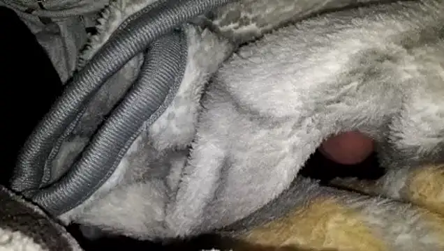 Snapshot of azmanmami chatting on 03-20-26, 10:44 azmanmami online show from 03-20-26, 10:44