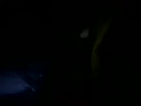 MahmudTheBator online show from 04-10-26, 12:28