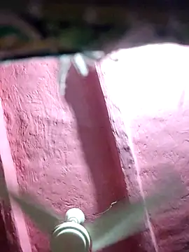 pakhi45 online show from 03-04-26, 07:10