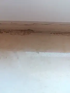 Snapshot of jeniferoo chatting on 03-11-26, 08:41 jeniferoo online show from 03-11-26, 08:41