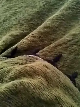 detasuta online show from 03-07-26, 03:46