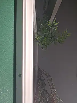 CarmenCapricorn online show from 03-03-26, 07:48