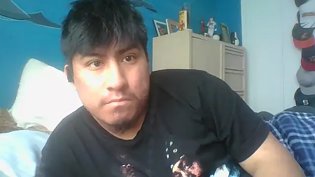 Snapshot of aloking2004 chatting on 03-01-26, 08:31 aloking2004 online show from 03-01-26, 08:31