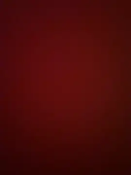 BeeMay22 online show from 03-29-26, 08:10