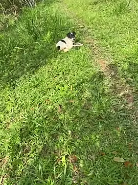 Snapshot of Zoe_Luxxe_ chatting on 03-23-26, 08:30 Zoe Luxxe online show from 03-23-26, 08:30