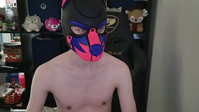 MellPUP online show from 04-28-26, 06:12