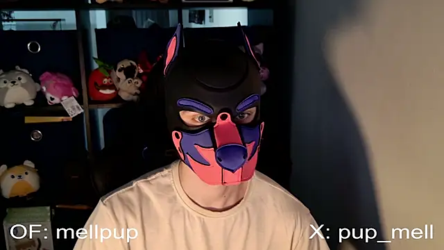 Snapshot of MellPUP chatting on 06-25-26, 01:05 MellPUP online show from 06-25-26, 01:05