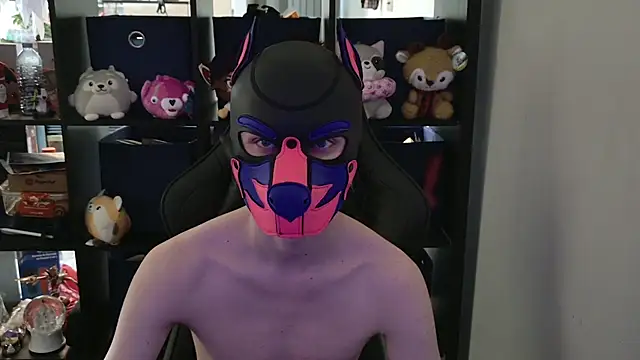 MellPUP online show from 04-29-26, 06:25