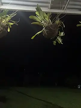 isabella ferrer99 online show from 03-08-26, 05:44