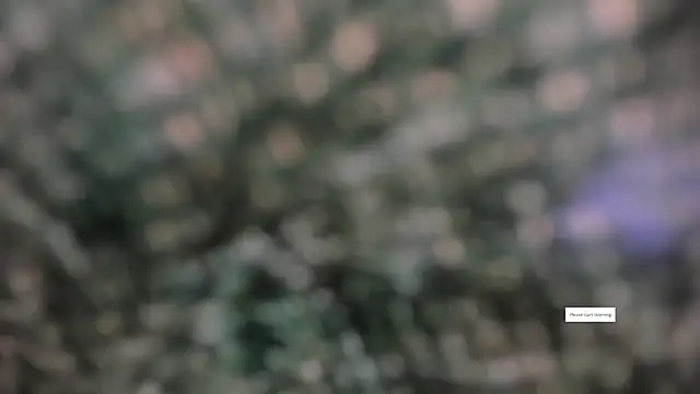 IVONE ASHAR online show from 03-14-26, 03:18