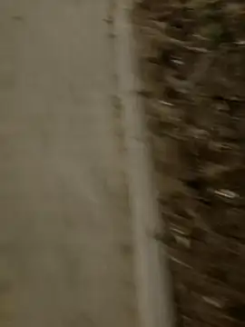 MarekPublicShow online show from 03-03-26, 09:44