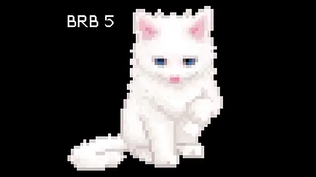Snapshot of BlinkingDross chatting on 06-01-26, 11:43 BlinkingDross online show from 06-01-26, 11:43