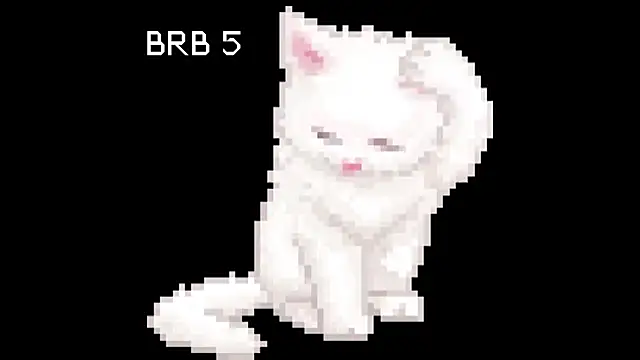 Snapshot of BlinkingDross chatting on 05-11-26, 02:45 BlinkingDross online show from 05-11-26, 02:45
