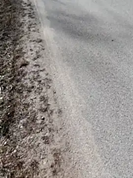 Polishboyek online show from 03-10-26, 12:53