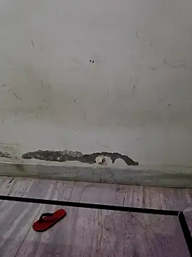 Itz ishu online show from 04-04-26, 11:39