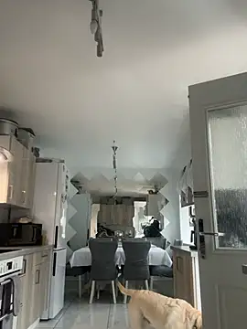 BunnyBallyX online show from 04-15-26, 05:57