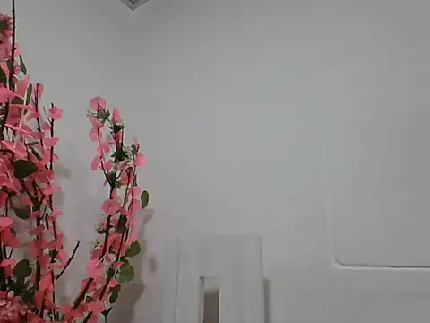 Briahana Drink online show from 04-05-26, 02:07