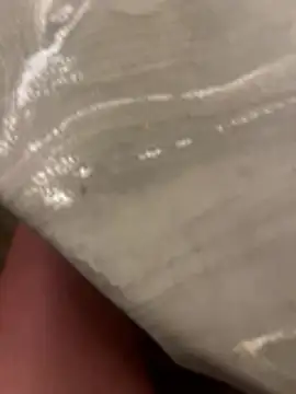 sharks90 online show from 04-15-26, 02:50