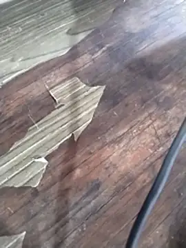 Snapshot of crisgoems chatting on 03-15-26, 05:09 crisgoems online show from 03-15-26, 05:09