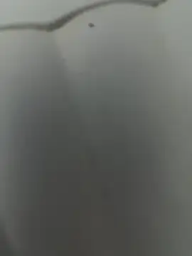 Cr1sXPorn online show from 03-29-26, 10:11