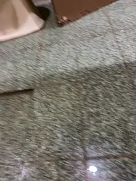 felps301816 online show from 03-07-26, 01:49