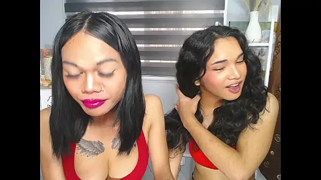 MaterialDuoTransxxx online show from 06-05-26, 05:12