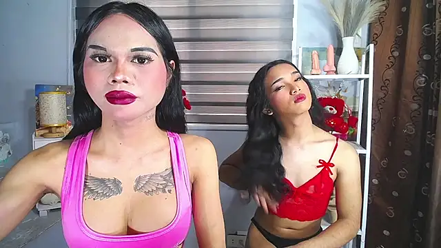MaterialDuoTransxxx online show from 05-31-26, 04:18